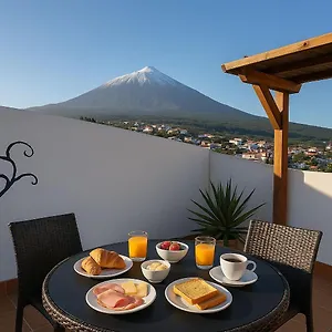 https://drago-nest-hostel.in-canary-islands.com