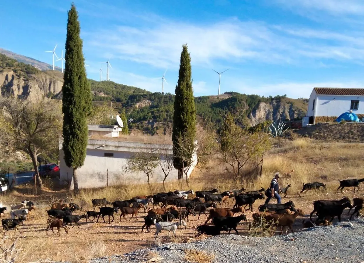 Bed & Breakfast B&B La Granadilla Conchar
